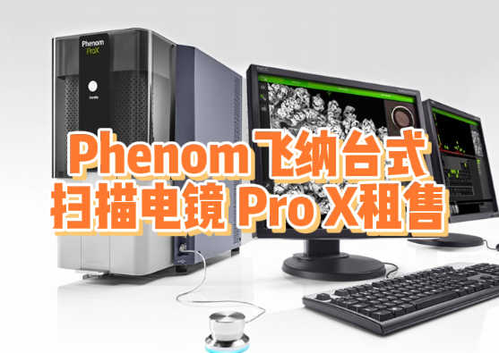 Phenom飞纳Pro X电镜租售