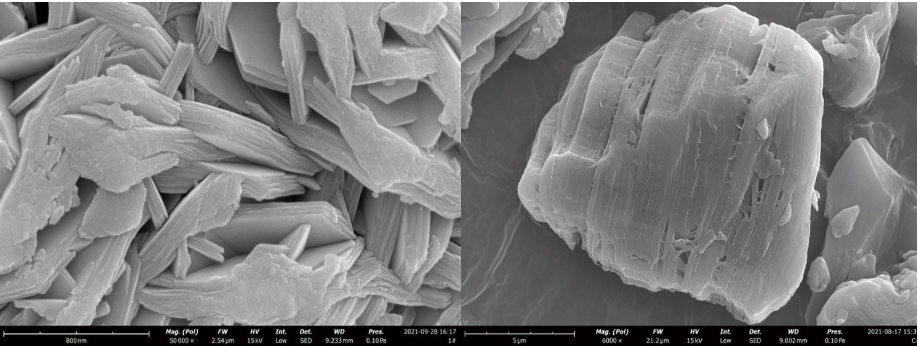 扫描电镜检测图片