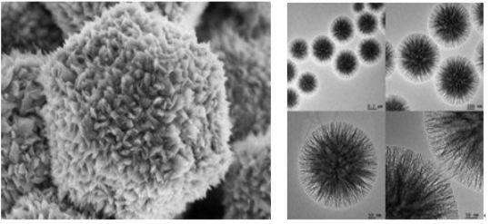 扫描电镜样品图片